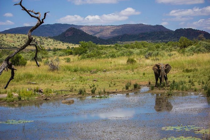 Full Day Ultimate Pilanesberg National Park Safari From Johannesburg or Pretoria - Conservation Fees and Inclusions