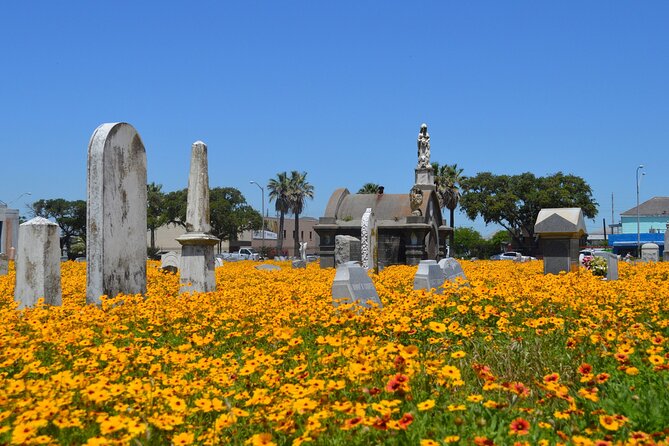 Galvestons Haunted Cemetery Walking Tour - Inclusions and Exclusions