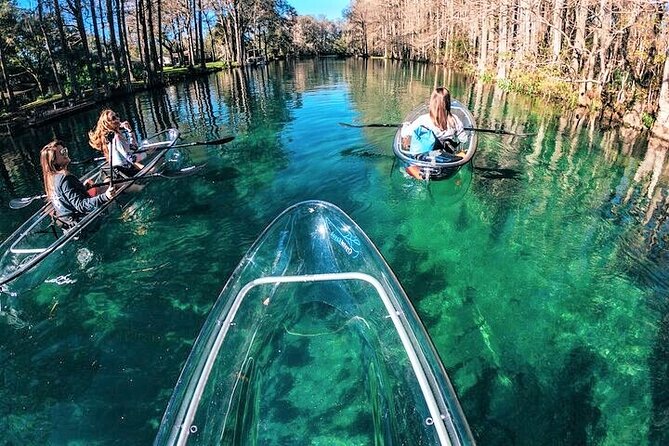 Glass Bottom Kayak Eco Tour Through Rainbow Springs - Positive Testimonials