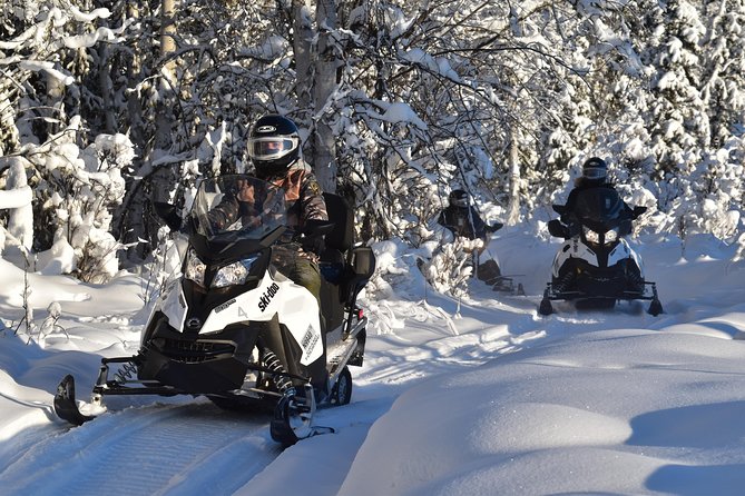 Guided Fairbanks Snowmobile Tour - Scenic Snowmobile Route