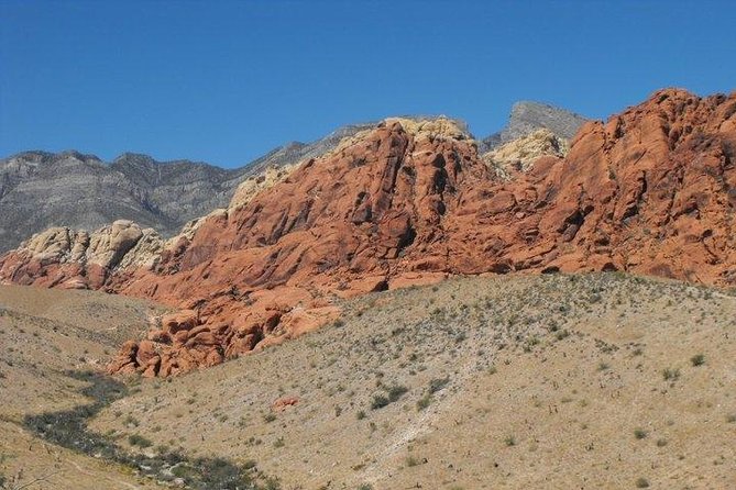 Guided Mountain Bike Tour of Mustang Trail in Red Rock Canyon - Cancellation Policy