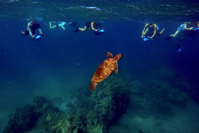 Guided Sea Scooter Snorkeling Tour Wailea Beach - Reviews