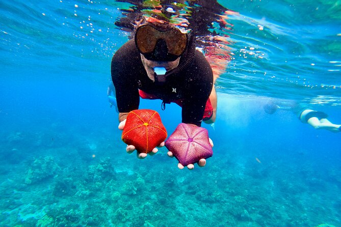 Guided Snorkeling Tour for Non-Swimmers Wailea Beach - Activity Details for Beginner Snorkelers