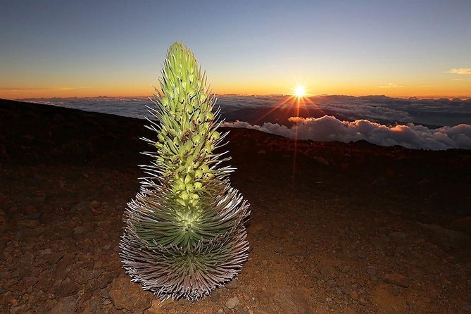 Haleakala Maui Sunset Tour - Peaks of Big Island