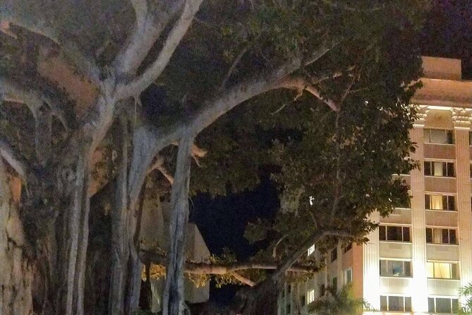 Haunted History of Fort Myers Walking Tour - Meeting and Pickup