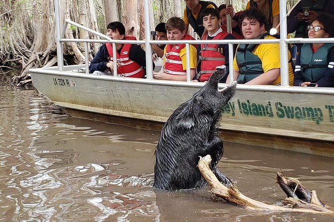 Honey Island Swamp Boat Tour - Swamp Legends and Culture