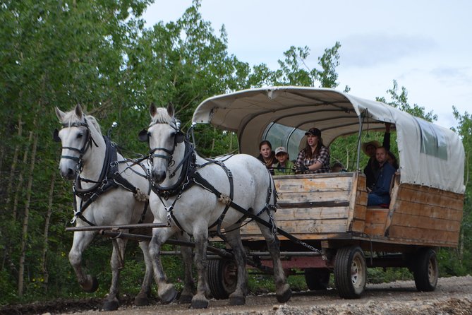 Horse-Drawn Covered Wagon Ride With Backcountry Dining - Memorable Experiences