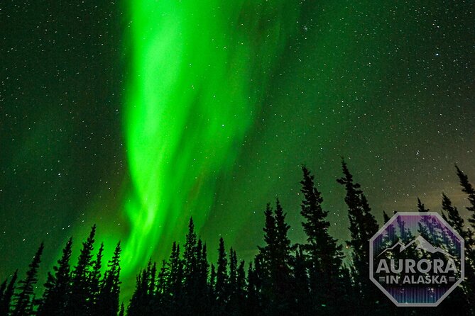 Incredible Aurora Viewing Adventure - Exploring the Northern Lights