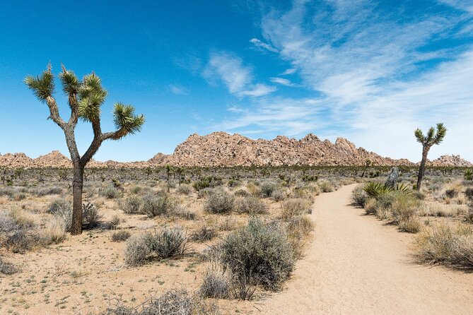 Joshua Tree National Park Self-Driving Audio Tour - Hands-Free Navigation and Guidance
