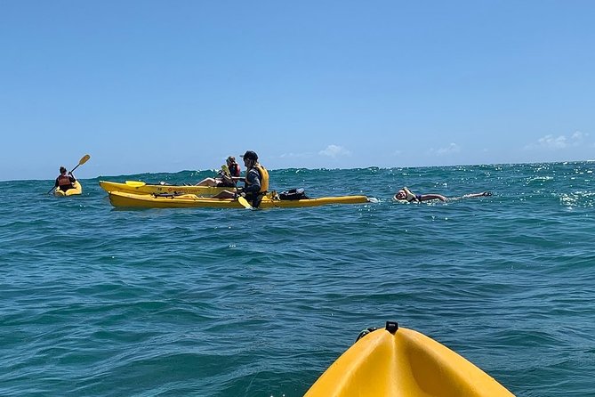 Kailua 2-Hour Guided Kayaking Excursion, Oahu - Weather Conditions and Transportation