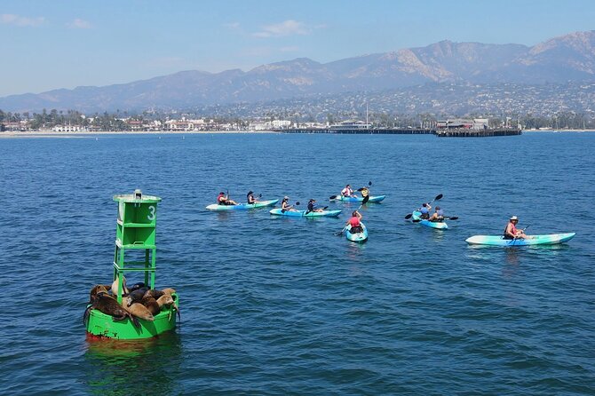 Kayak Tour of Santa Barbara With Experienced Guide - Positive Feedback