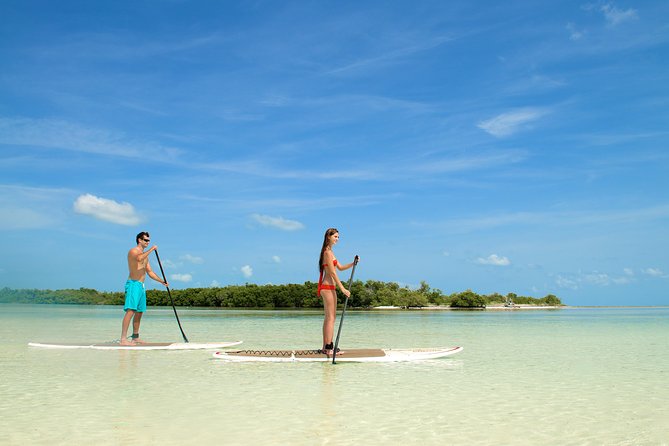 Key West Island Adventure: Kayak, Snorkel, Paddleboard - Buffet Lunch and Beverages