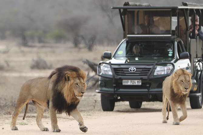 Kruger National Park Full Day Private Safari - Whats Not Included