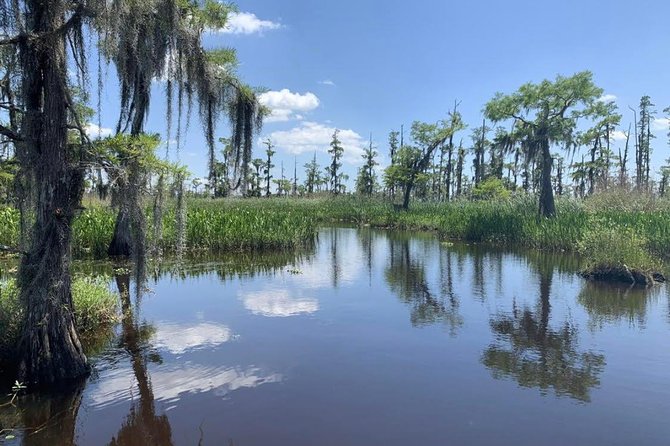 Large Airboat Swamp Tour With Transportation From New Orleans - Cancellation Policy