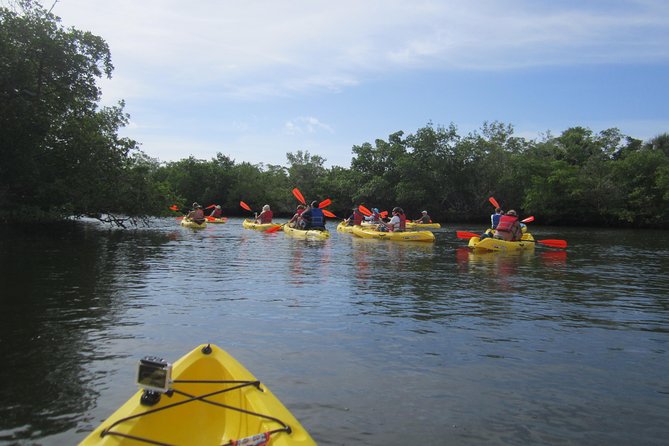 Lovers Key Guided Eco Tour-Mangrove Estuary - Cancellation and Reviews