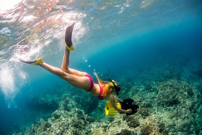 Luxury Kona Coast Snorkel Tour Including Lunch - Reviews and Accolades