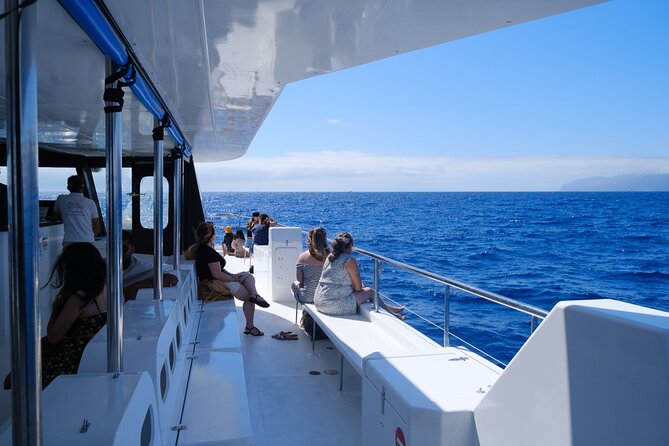 Madeira Dolphin and Whale Watching on a Ecological Catamaran - Accessibility and Accommodations