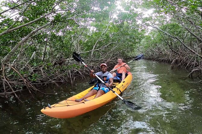 Mangroves and Manatees - Guided Kayak Eco Tour - Kayak Rental and Gear Included