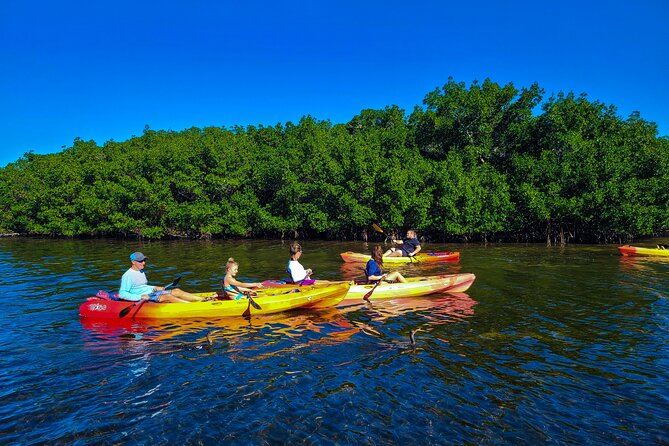 Mangroves, Manatees, and a Hidden Beach: Kayak Tour - Small-Group Experience