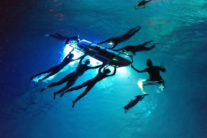 Manta Mania - Manta Ray Night Snorkel - Small-Group Experience In Kona, Hawaii - Additional Information