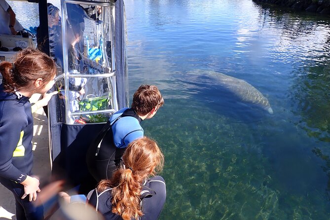 Most Popular 3hr Manatee Swim Tour + In-Water Guide! - Cancellation Policy
