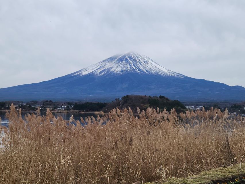 Mt Fuji and Hakone Private Tour With English Speaking Driver - Frequently Asked Questions