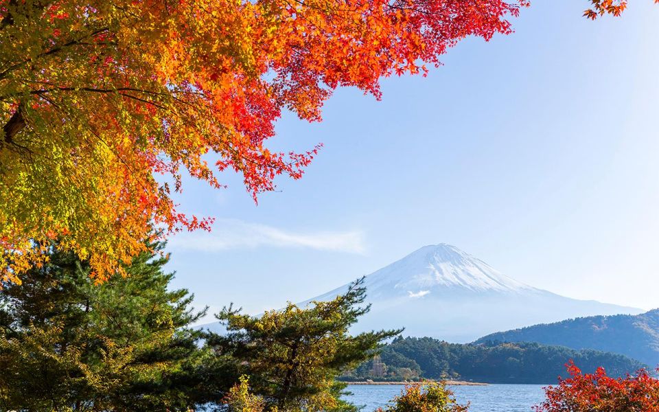 Mt Fuji : Highlight Tour and Unforgettable Experience - Lake Kawaguchiko