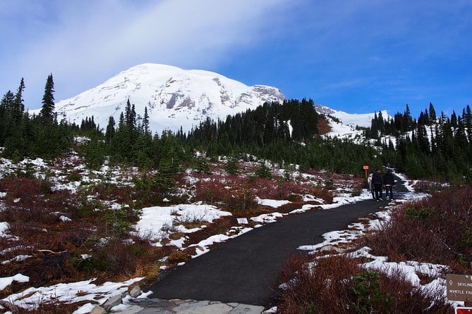 Mt. Rainier Day Tour From Seattle - Booking and Cancellation