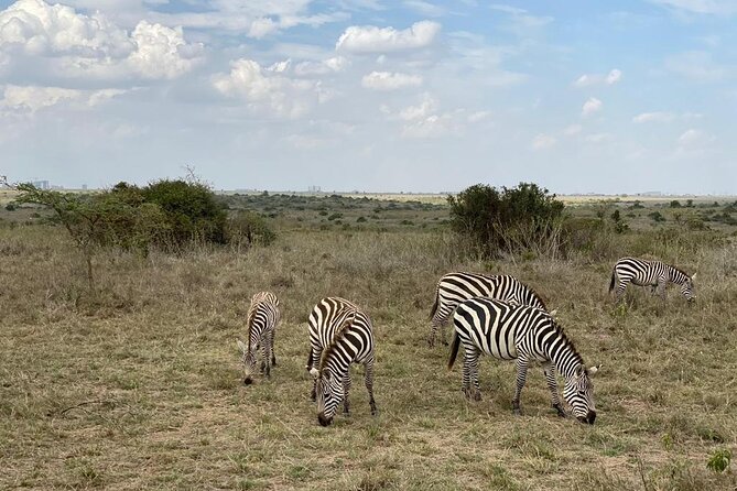 Nairobi National Park and Giraffe Center - Tour Duration and Itinerary