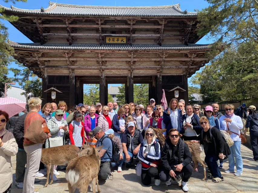 Nara and Kyoto Tour - Kyoto Sightseeing
