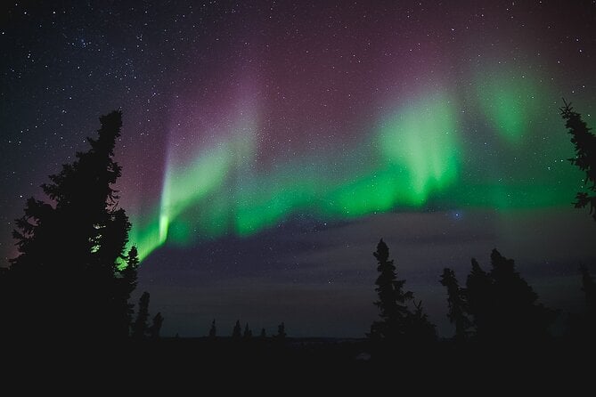 Northern Lights Viewing at Murphy Dome - Photographing the Aurora Borealis