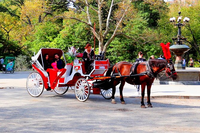 NYC Central Park Horse Carriage Ride (Up to 4 Adults) - Meeting and Pickup Location
