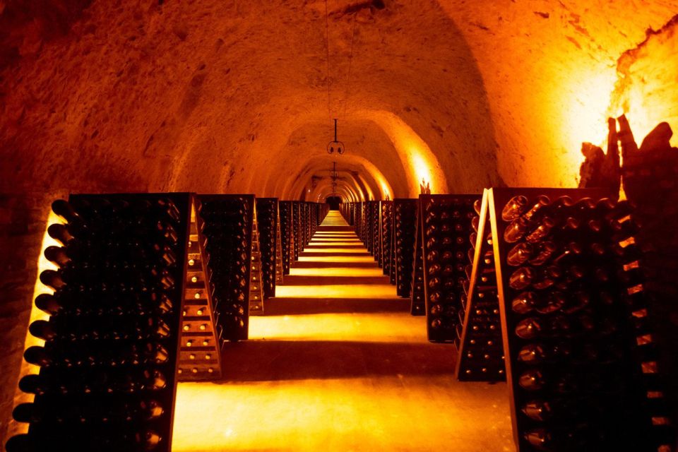 Paris: Discover the Cellars in the Countryside in Champagne - Discover the Cathedral Notre Dame