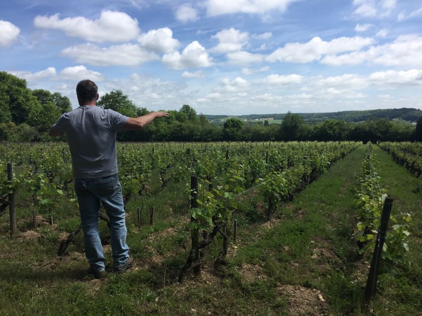 Private Day Tour to Loire Valley Castles & Wines From Paris - Gourmet Winery Lunch