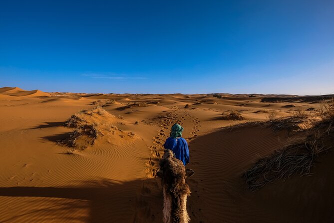 Private Desert Safari Half Day(4hrs) || Inland Sea Visit || Camel Ride - Desert Safari