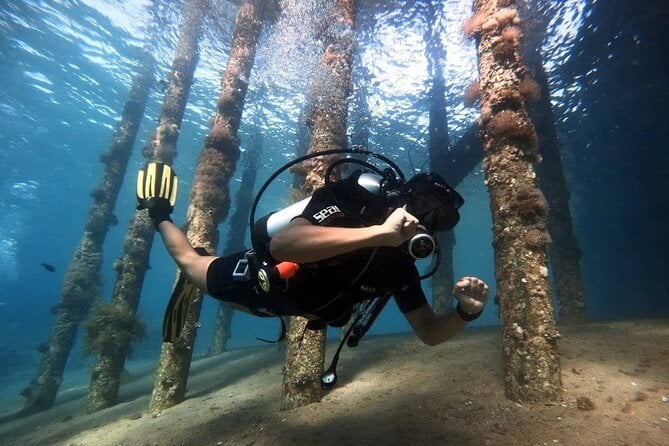 Private Diving Experience in The Heart of Red Sea in Aqaba - Private Transportation to Diving Sites