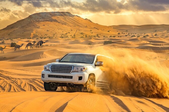 Private Evening Desert Safari With BBQ Dinner Dubai - Diverse Culinary Offerings