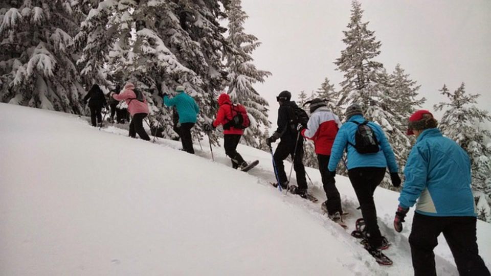 Private Snowshoeing Full Day - Expert Guidance