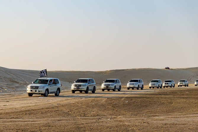 Qatar Desert Safari Half Day Tour - Camel and Falcon Experience