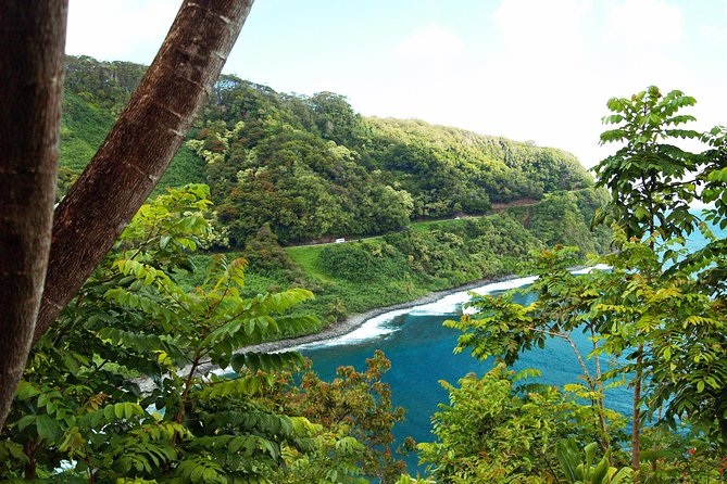 Road to Hana Tour With Lunch and Pickup - Exceptional Guides