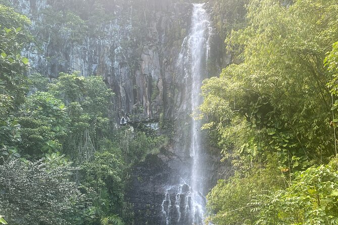 Road to Hana Tours to Black Sand Beach, Waterfalls, and More! - Pricing and Cancellation Policy
