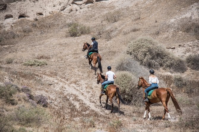 Santorini Horse Riding to Black Sandy Beach - Group Size and Safety Requirements