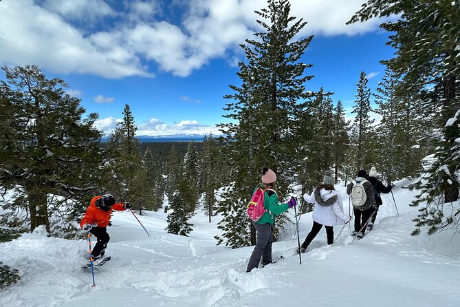 Scenic Snowshoe Adventure in South Lake Tahoe, CA - Cancellation Policy and Refunds