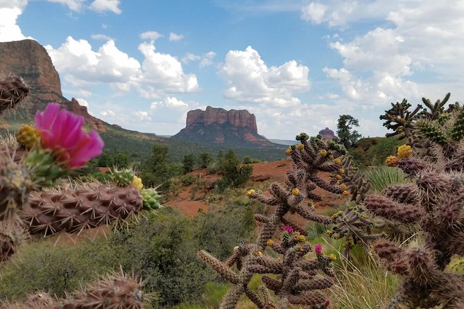 Sedona and Grand Canyon Full-Day Tour - Reviews