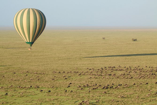 Serengeti Balloon Safari and Authentic Bush Breakfast - Exploring Serengetis Diverse Wildlife