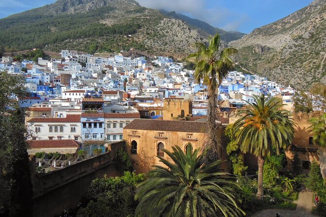 Shared Group Chefchaouen Day Trip From Fez - Meeting and Pickup