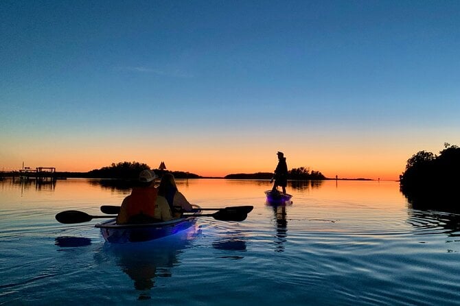 Shell Key Clear Kayak Glow in the Dark Tour - Adventure Awaits in Tierra Verde