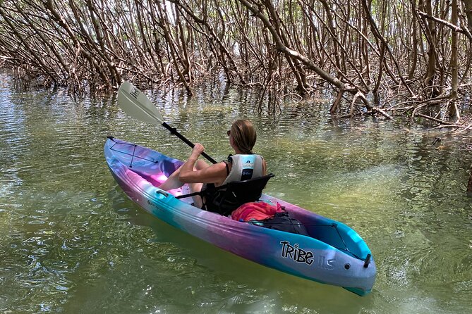 Small Group Kayak Tour of the Shell Key Preserve - Equipment, Weight Limits, and Age Requirements