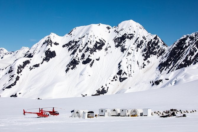 Summer Glacier Dogsledding Tour From Girdwood - Duration and Pricing