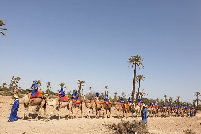 Sunset Camel Ride Marrakech Palmeraie - Cancellation and Refund Policy